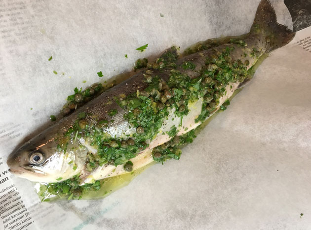 Kokonainen nieriä menossa uuniin: lehtipersiljaa, sitruunaa ja kapriksia