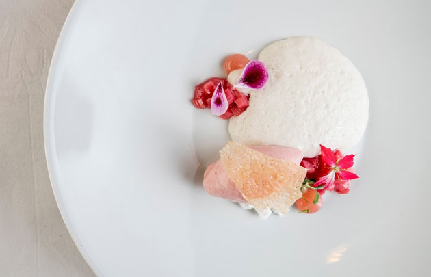 Viking Linen vegaani jälkiruoka - raparperisorbettia