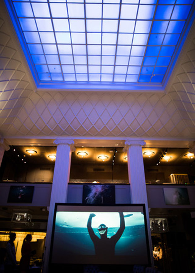 Valokuvanäyttely Underwater Dreams Restaurant Plazassa