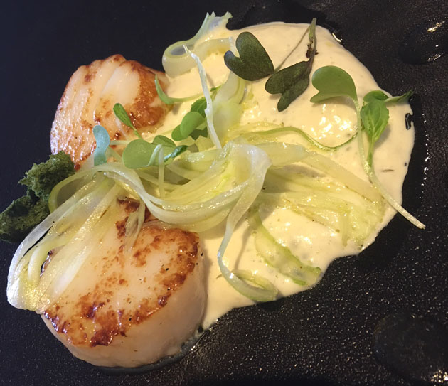 kampasimpukoita, fenkolia ja sitruskastiketta