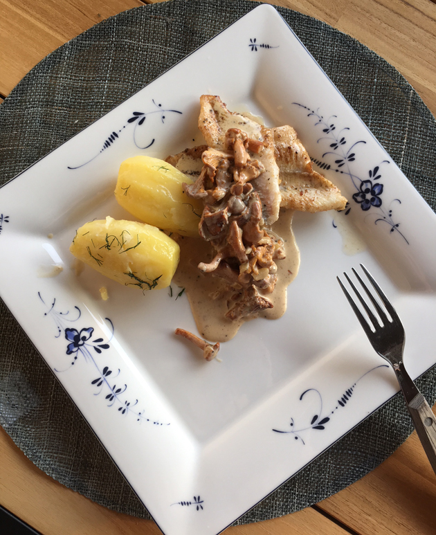 Kantarellikastike, paistetut ahvenfileet ja&nbsp;tilliperunat